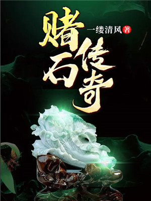 赌石传奇小说免费阅读