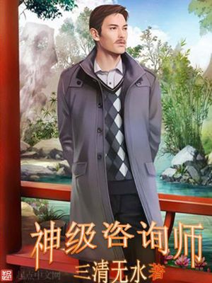 神级咨询师小说