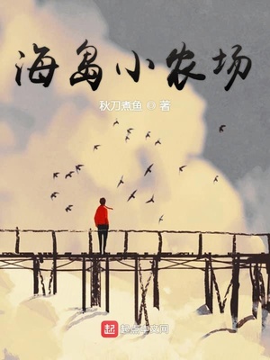 海岛小农场小说