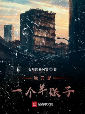 我只是一个羊贩子TXT