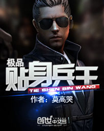 极品贴身兵王 李风