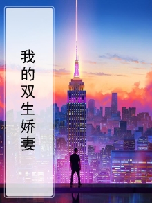 我的双生娇妻小说阅读