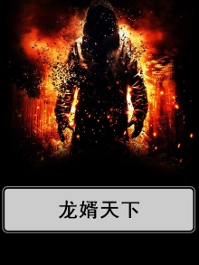 龙婿无弹窗