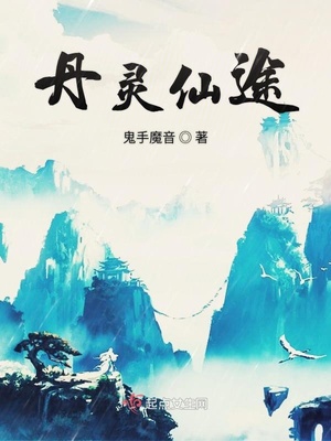 丹灵仙途 小说