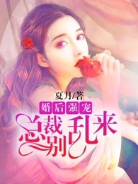 总裁小说婚后文