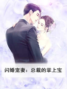 闪婚宠妻：总裁的掌上宝