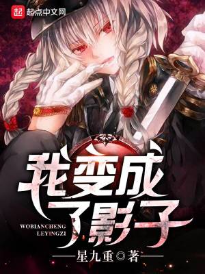 我变成了影子 小说