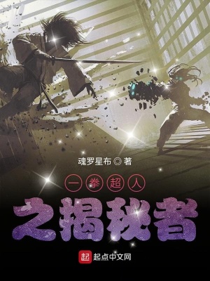 一拳超人之揭秘者 小说