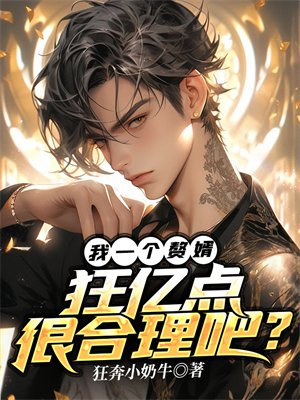 赘婿之一日疯狂