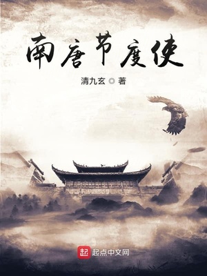 南唐节度使TXT