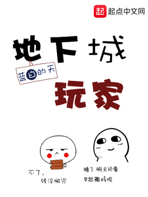 地下城玩家TXT下载精校版