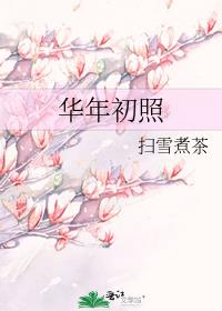 华年初照小说免费阅读