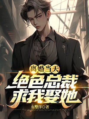 总裁,离婚就离婚