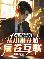 社畜逆袭:从小米开始反卷互联挨踢的老臣