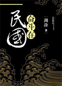 奋斗在民国讲的什么