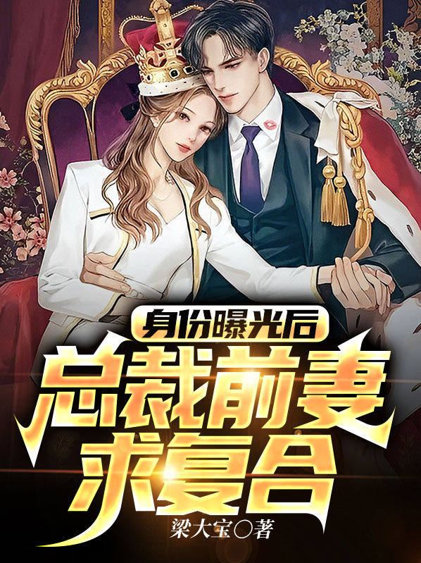 身份曝光后,总裁前妻求复合梁大宝