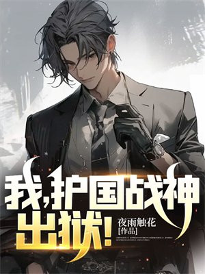 我,护国战神,出狱小说