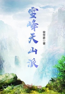 雪峰天山派 小说