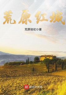 荒原红城 荒原骆驼