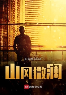 山风为岚是什么意思
