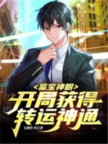 鉴宝神眼小说