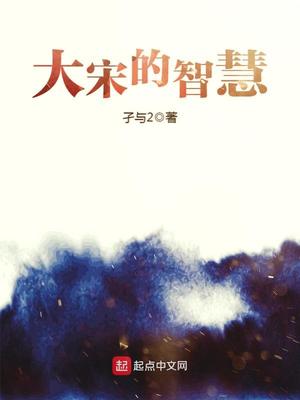 大宋的智慧小说