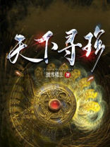 天下寻珍 小说