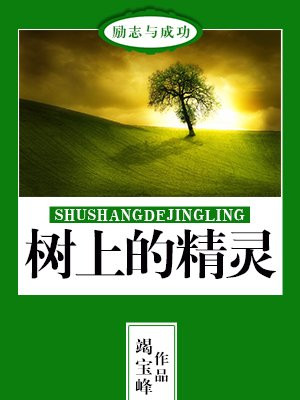 树上的精灵之树精灵