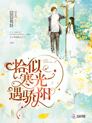 恰似寒光遇骄阳小说