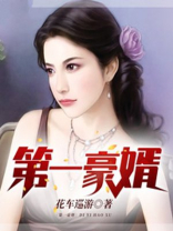 第一豪婿全文免费阅读完整版