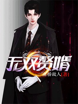 无双赘婿免费完整版