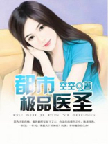 都市极品医圣小说