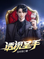 透视圣手TXT