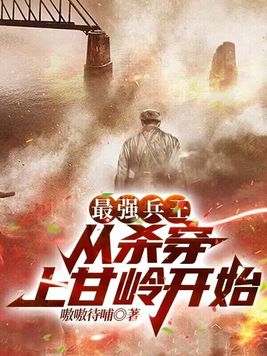 最强兵王苏锐