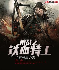 抗战之铁血特工笔趣阁