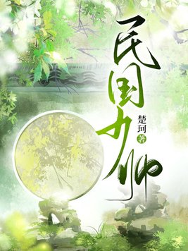民国少帅