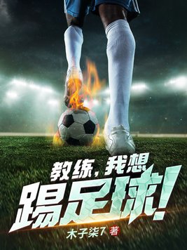 教练,我想踢足球小说