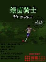 绿茵骑士笔趣阁