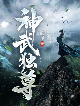 神武独尊作者魂圣