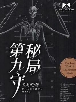 第九守秘局陈闲的真实身份