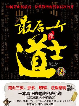 最后一个道士2写的什么