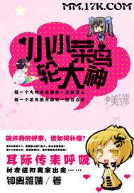 小菜鸟大梦想什么意思