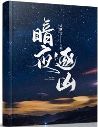 暗夜逐凶小说