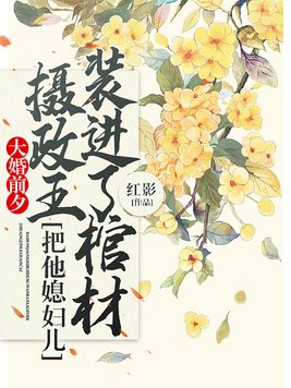 摄政王大婚王妃死了