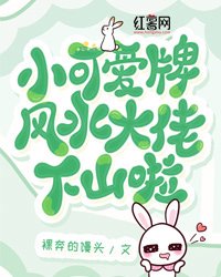 小可爱牌风水大佬下山啦TXT