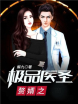 赘婿之极品医圣 小说