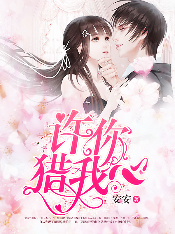 许你入我心小说