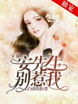 安先生别惹我