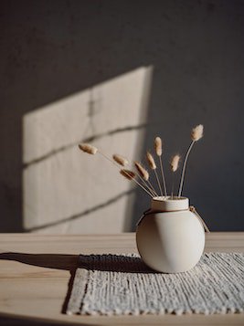 我的合租室友什么时候播出