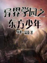 异界的少年